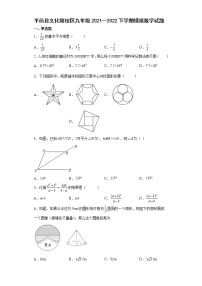 山东省临沂市平邑县文化路校区九年级2021--2022学年九年级下学期模拟数学试题（含答案）