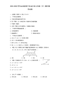 2021-2022学年山东省济宁市金乡县七年级（下）期中数学试卷（含解析）