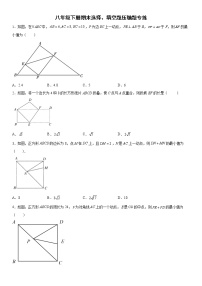 八年级下册期末选择、填空题压轴题专练
