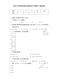 2022年河南省信阳市淮滨县中考数学三模试卷（含解析）