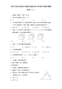 2022年四川省内江市隆昌市蓝天育才学校中考数学模拟试卷（二）（含解析）