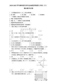 2020-2021金海教育集团七年级（下）期末数学试卷