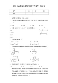 2022年云南省大理州大理市中考数学一模试卷（含解析）