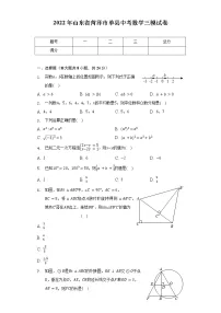 2022年山东省菏泽市单县中考数学三模试卷(含解析)
