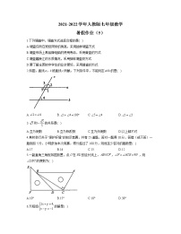 2021-2022学年人教版七年级数学暑假作业（5）