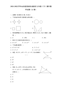 2021-2022学年山东省济南市高新区七年级（下）期中数学试卷（A卷）（含解析）