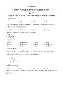 2022河南省许昌市禹州市九年级中考二模数学试题(word版含答案)