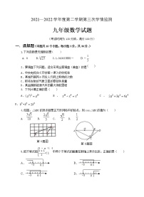 2022年山东省济宁市金乡县中考三模数学试题(word版含答案)