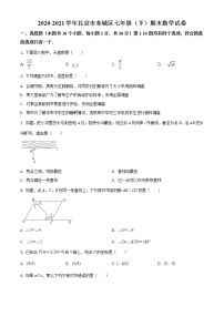 2020-2021学年北京市东城区七年级（下）期末数学试卷及答案