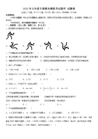 2022年七年级下册期末模拟考试数学 试题卷（一）