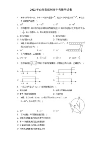 2022年山东省滨州市中考数学试卷（含答案解析）