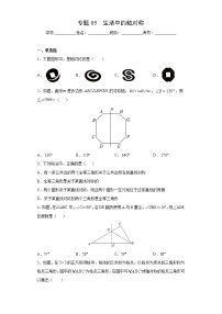 北师大版七年级下册期末专题05 生活中的轴对称（原卷+解析）