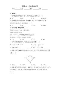 北师大版八年级下册期末专题01 三角形的证明（原卷+解析）