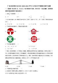 广东省深圳市宝安区2020-2021学年七年级下学期期末数学试题及答案