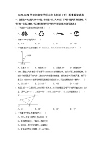 2020-2021学年河南省平顶山市七年级（下）期末数学试卷及答案