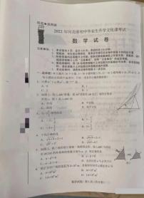 2022年河北省中考真题数学卷无答案（图片版）