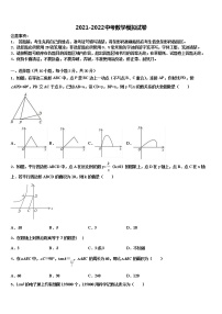 2021-2022学年福建省泉州市晋江市泉州五中学桥南校区达标名校中考数学对点突破模拟试卷含解析