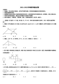 2021-2022学年福建省厦门市凤南中学中考适应性考试数学试题含解析