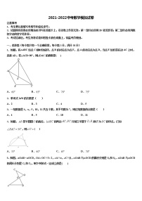 2021-2022学年广东省东莞市虎门外语校中考数学押题试卷含解析