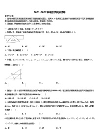 2021-2022学年广东省梅州市梅县达标名校中考冲刺卷数学试题含解析