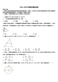 2021-2022学年广东省汕头市金山中学中考数学猜题卷含解析