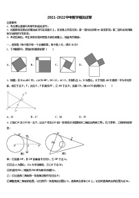 2021-2022学年安徽省合肥高新区达标名校中考数学模拟预测试卷含解析