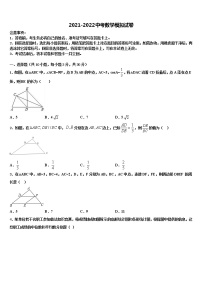 2021-2022学年安徽省合肥市重点中学中考数学仿真试卷含解析