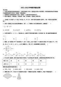 2021-2022学年安徽省阜阳地区市级名校中考押题数学预测卷含解析