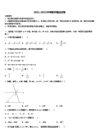 【全国百强校首发】福建省厦门外国语校2022年十校联考最后数学试题含解析