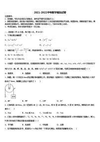 2021-2022学年安徽省合肥市巢湖第三中学中考数学模拟精编试卷含解析