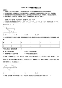 2021-2022学年安徽省合肥市第四十二中学中考数学模拟试题含解析