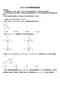 2021-2022学年安徽省无为市中考适应性考试数学试题含解析