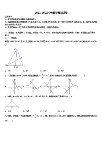 2021-2022学年北京市清华附中中考二模数学试题含解析