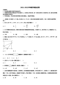 2021-2022学年安庆九一六校中考数学模试卷含解析
