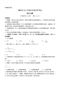 2022年湖北省随州市中考数学真题(word版含答案)