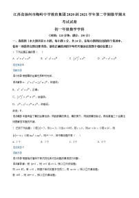 江苏省扬州市梅岭中学2020-2021学年七年级下学期期末数学试题（试卷）