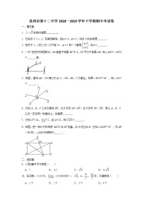 昆明市第十二中学2018—2019学年下学期数学期中考试卷