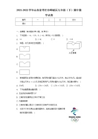 2021-2022学年山东省枣庄市峄城区九年级（下）期中数学试卷（含解析）