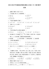 2021-2022学年湖南省常德市澧县七年级（下）期中数学试卷（含解析）