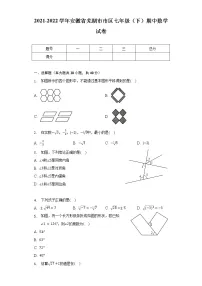 2021-2022学年安徽省芜湖市市区七年级（下）期中数学试卷（含解析）