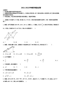 2021-2022学年广东省湛江市第二中学中考数学考试模拟冲刺卷含解析