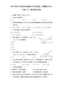 2021-2022学年四川省成都九中光华校区、泡桐树中学七年级（下）期中数学试卷（含解析）