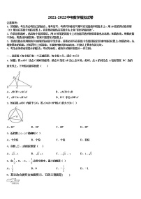 2021-2022学年河北省石家庄市高邑县中考数学模试卷含解析