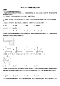 2021-2022学年河北省秦皇岛青龙县联考中考数学模拟精编试卷含解析