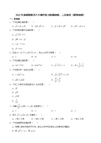 2022年浙教版数学八下期中复习阶梯训练：二次根式（提高训练）