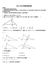 2021-2022学年河南省洛阳市偃师市重点名校中考数学适应性模拟试题含解析