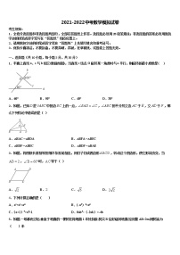 2021-2022学年河西成功校中考数学猜题卷含解析