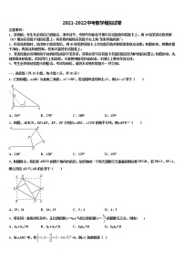 2021-2022学年河南省洛阳市汝阳县市级名校中考数学适应性模拟试题含解析