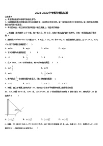 2021-2022学年河南省郑州市枫杨外国语中考数学模拟精编试卷含解析