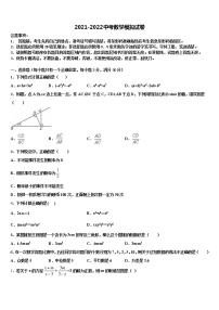 2021-2022学年河南省实验中学中考适应性考试数学试题含解析